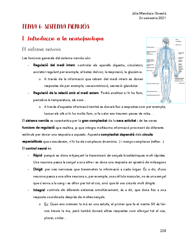 Miniatura del documento Sistema-nervios-1a-part.pdf