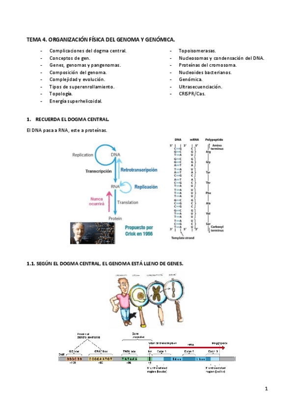 Miniatura del documento TEMA4biomol.pdf