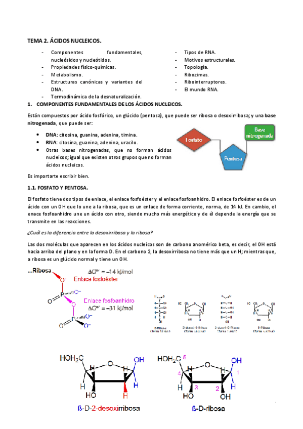 Miniatura del documento TEMA2biomol.pdf