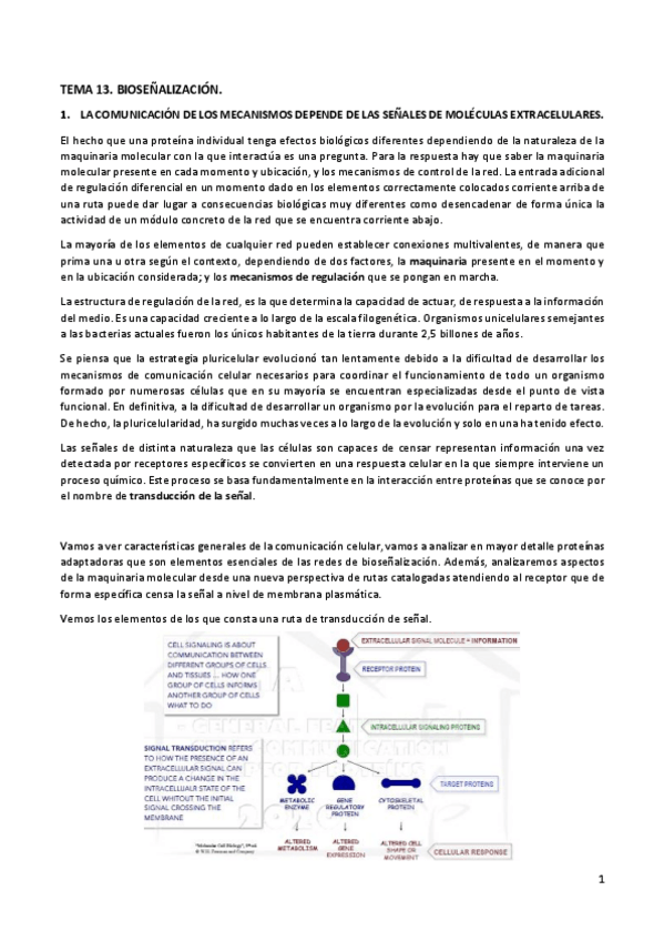 Miniatura del documento TEMA13biomol.pdf