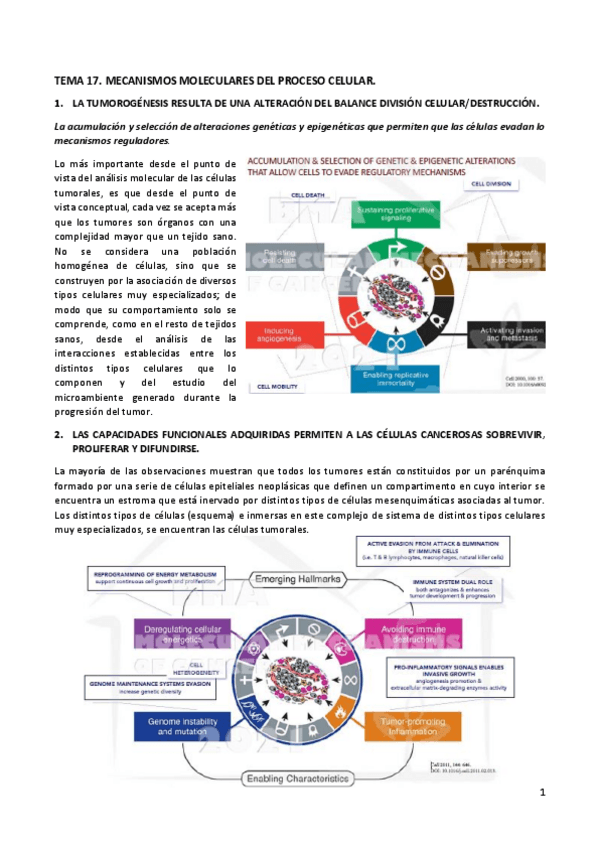 Miniatura del documento TEMA17biomol.pdf