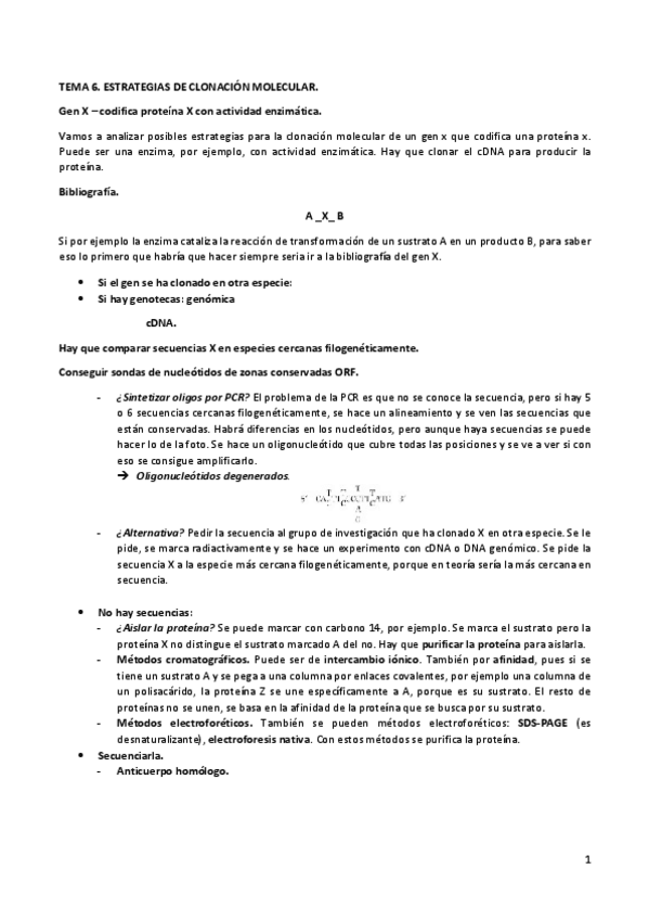 Miniatura del documento TEMA6funda.pdf