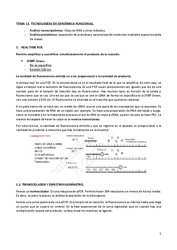 Miniatura del documento TEMA12funda.pdf