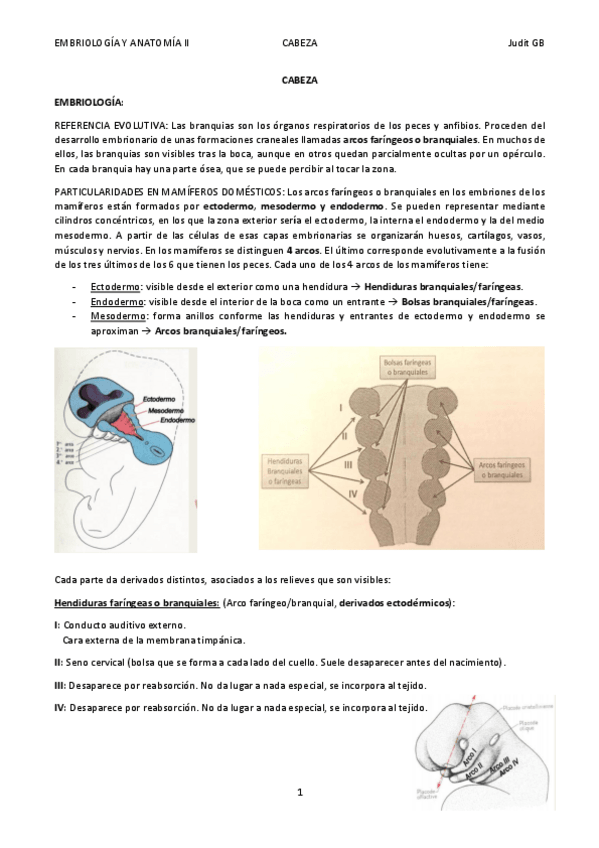 Miniatura del documento CABEZA.pdf
