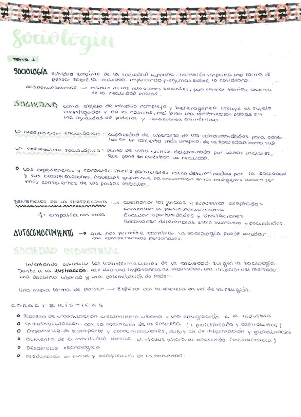 Miniatura del documento Sociologia-Apuntes-Examen.pdf