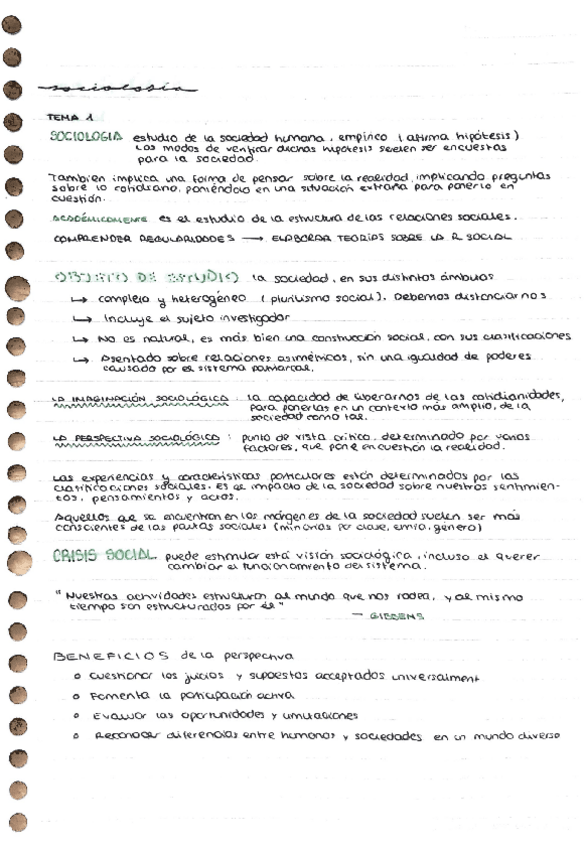 Miniatura del documento Sociologia-Apuntes-Clase.pdf