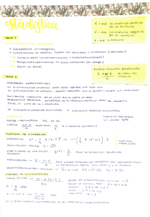 Miniatura del documento Estadistica-Apuntes-de-Examen.pdf