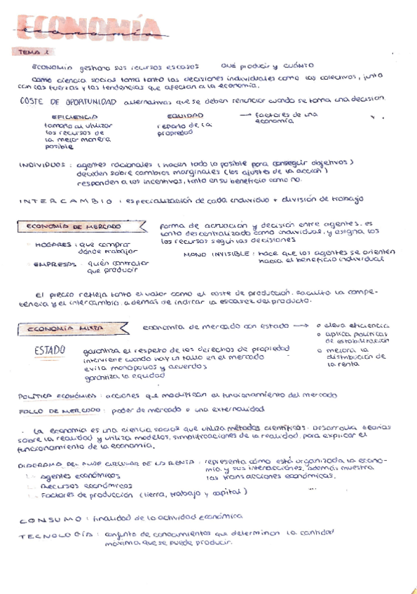 Miniatura del documento Economia-Apuntes-de-Examen.pdf