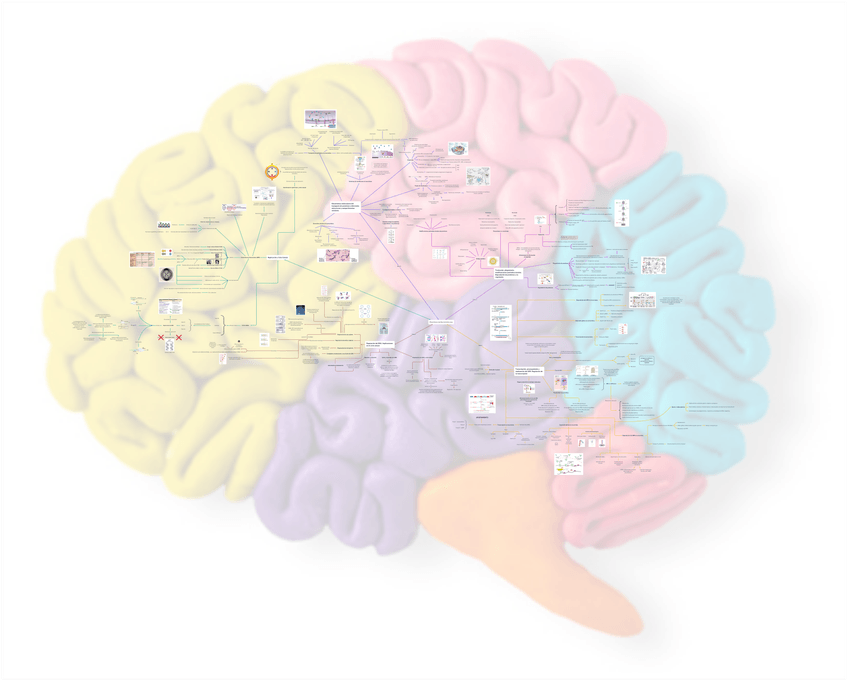 Miniatura del documento Mapa-mental.png