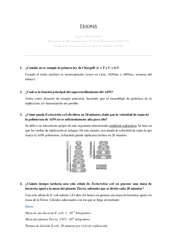Miniatura del documento Enigmas.pdf