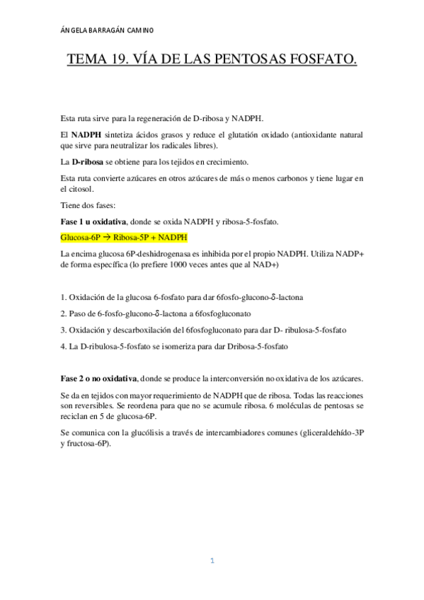 Miniatura del documento TEMA 19.pdf