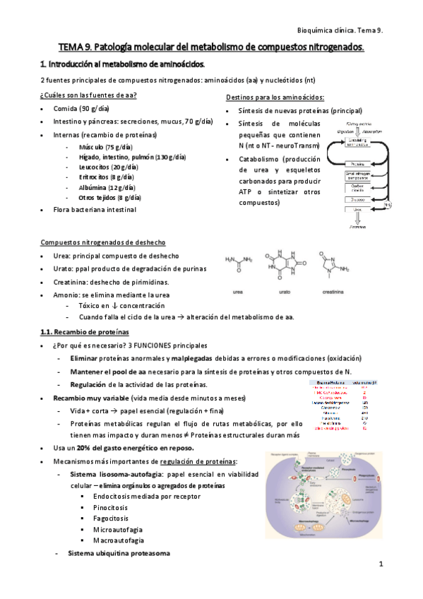 Miniatura del documento Tema-9.pdf