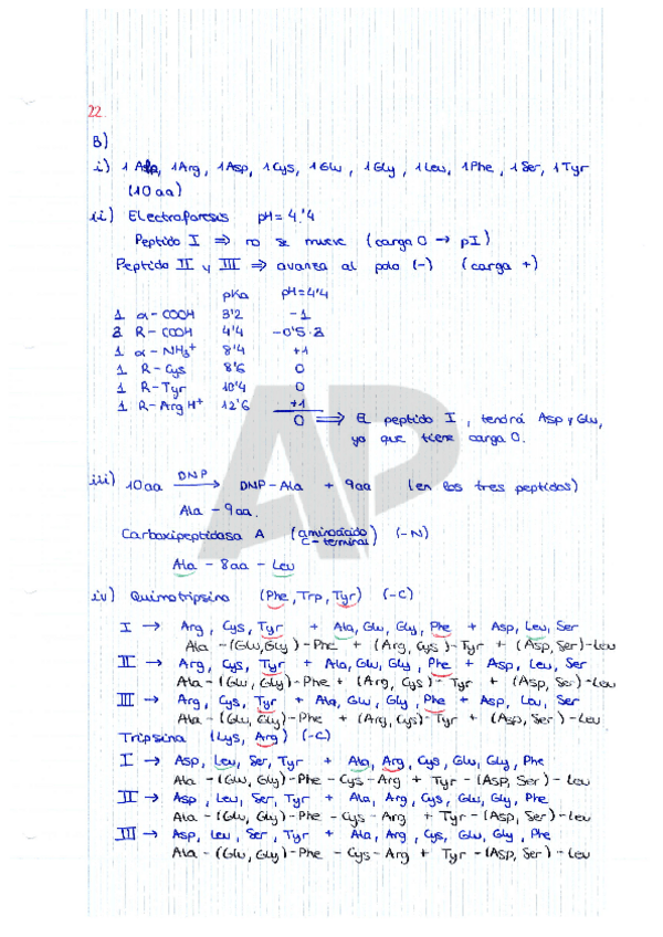 Miniatura del documento Ejercicios-Proteinas.pdf