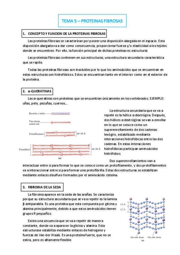 Miniatura del documento TEMA-5.pdf