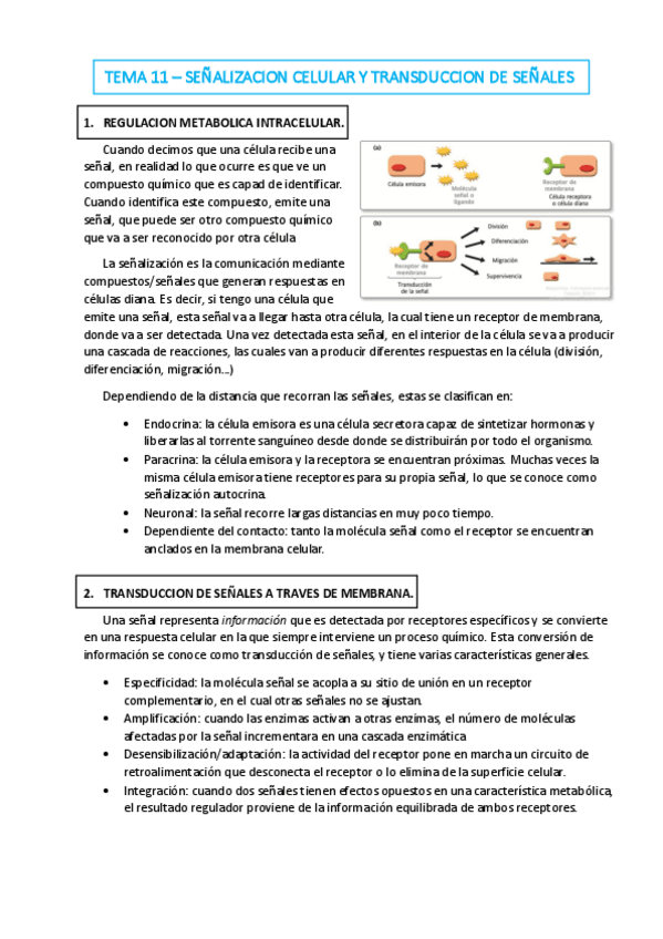 Miniatura del documento TEMA-11.pdf