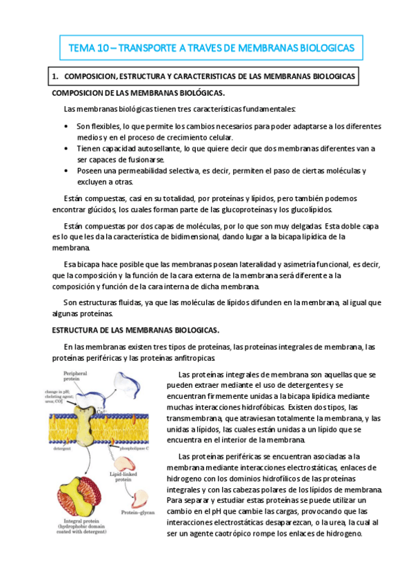 Miniatura del documento TEMA-10.pdf