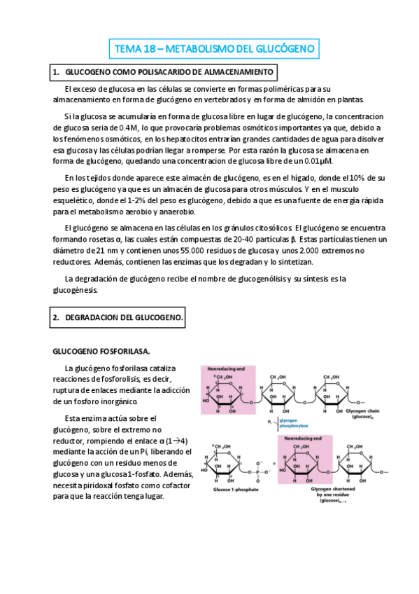 Miniatura del documento TEMA-18.pdf
