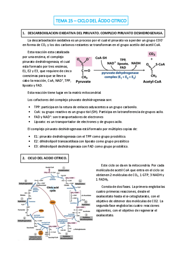 Miniatura del documento TEMA-15.pdf