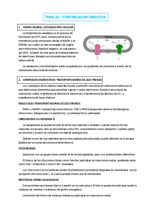 Miniatura del documento TEMA-16.pdf
