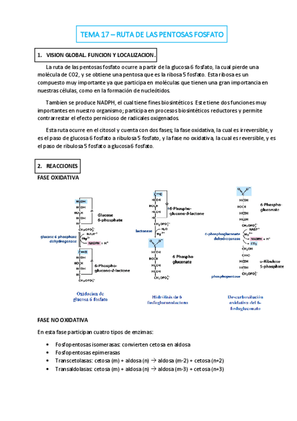 Miniatura del documento TEMA-17.pdf