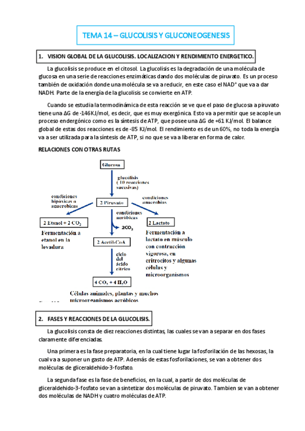 Miniatura del documento TEMA-14.pdf