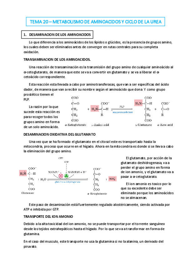 Miniatura del documento TEMA-20.pdf