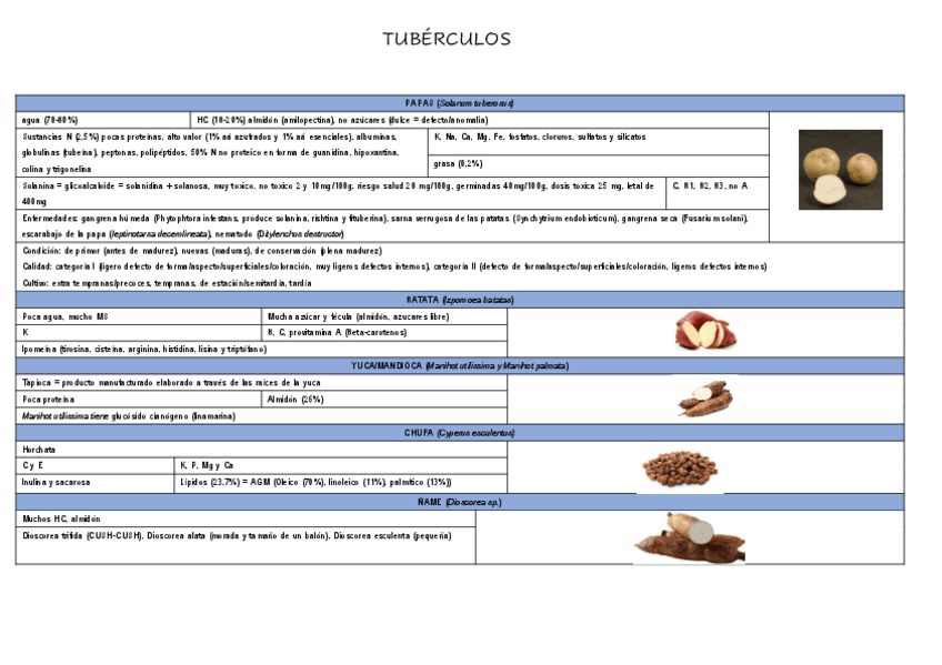 Miniatura del documento Tuberculos.pdf