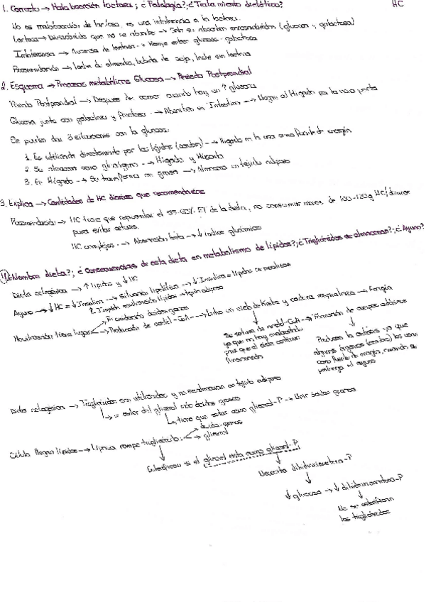 Miniatura del documento Parte-Sara.pdf