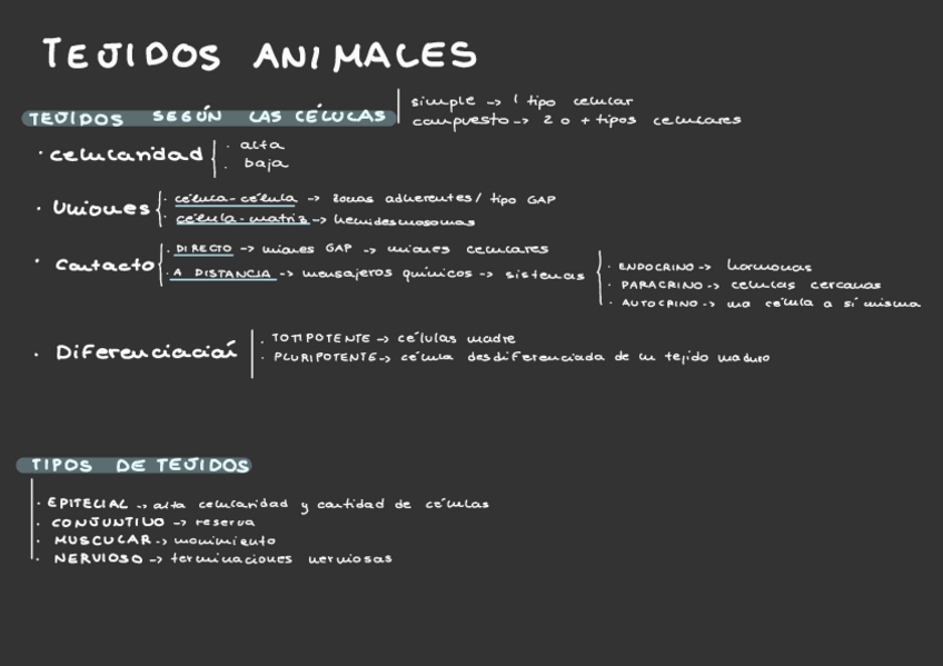 Miniatura del documento Esquema-Animal.pdf
