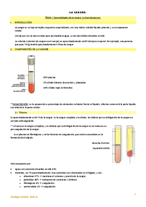 Miniatura del documento III-Fisiologia-de-la-sangre-y-el-sistema-cardiovascular.pdf