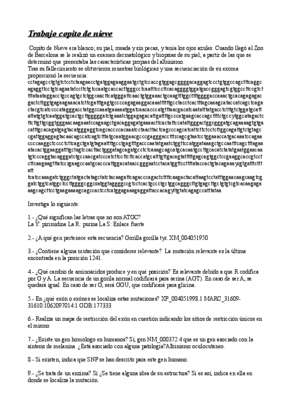 Miniatura del documento trabajo copito.pdf