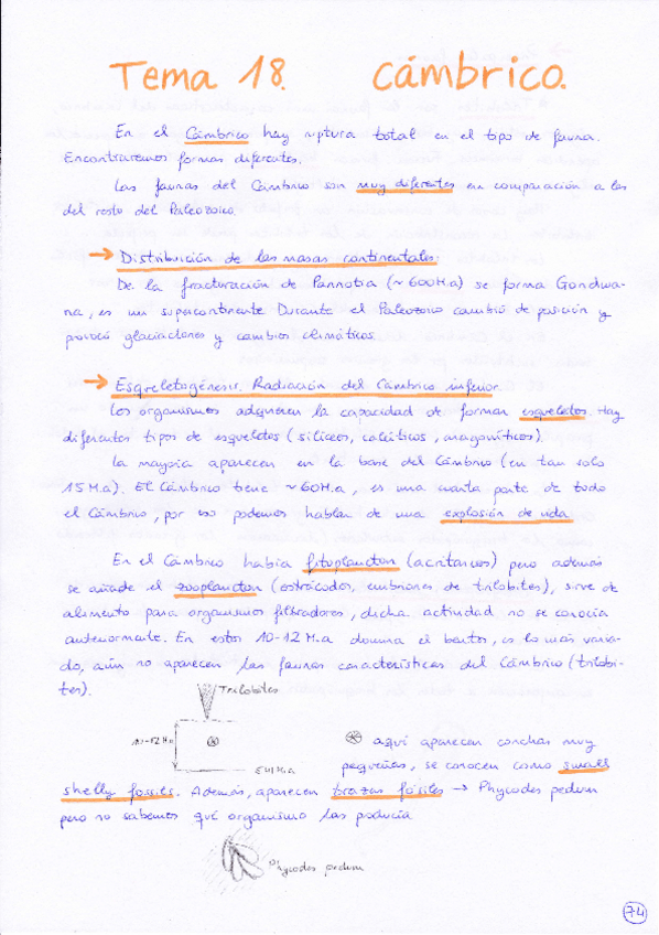 Miniatura del documento Tema 18 Cámbrico.pdf