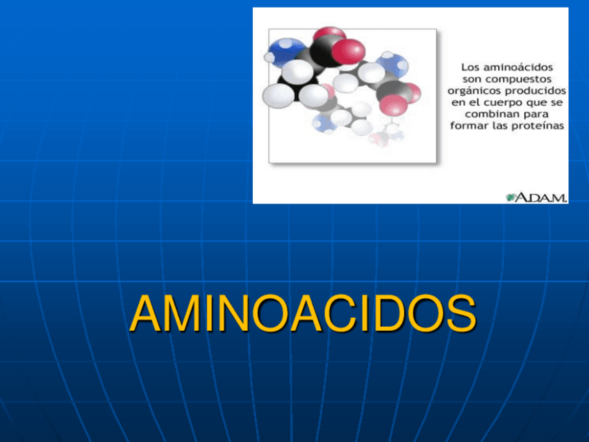 Miniatura del documento AMINOACIDOS.pdf