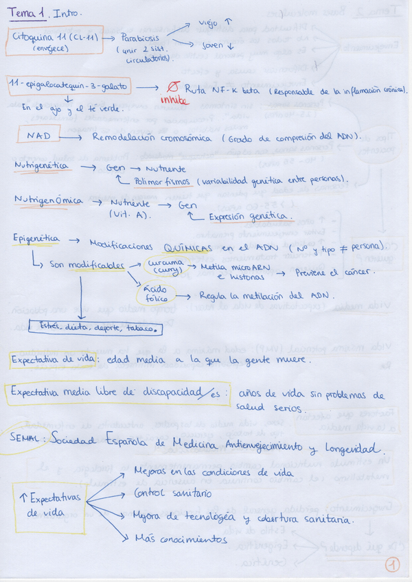 Miniatura del documento Apuntes-BQ-Envejecimiento-2020-21.pdf