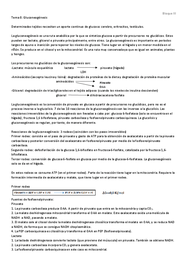 Miniatura del documento Tema 8 - Gluconeogenesis.pdf