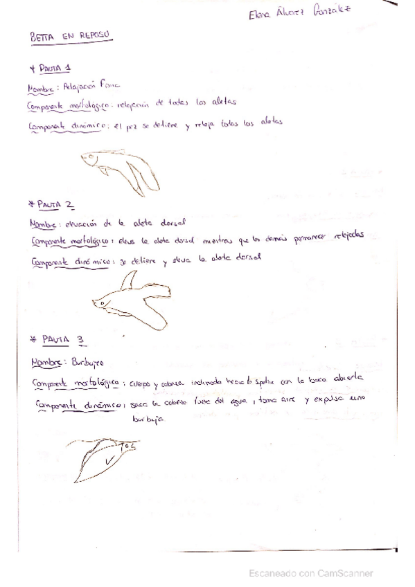 Miniatura del documento PAUTAS.pdf