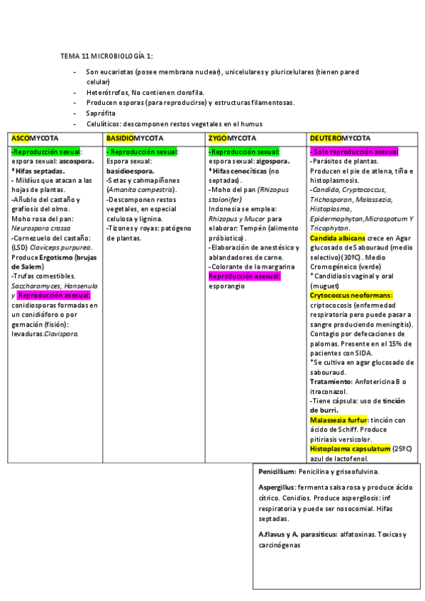 Miniatura del documento TEMA-11-MICROBIOLOGIA-1.pdf