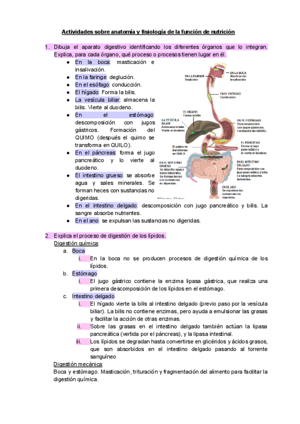 Miniatura del documento actividades-tema-2-biologia.pdf