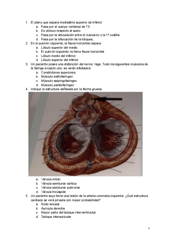 Miniatura del documento EXAMEN-ORDINARIO-ANATOMIA-2020.pdf