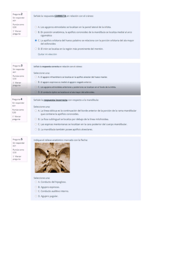 Miniatura del documento examen-osteo-craneo.pdf