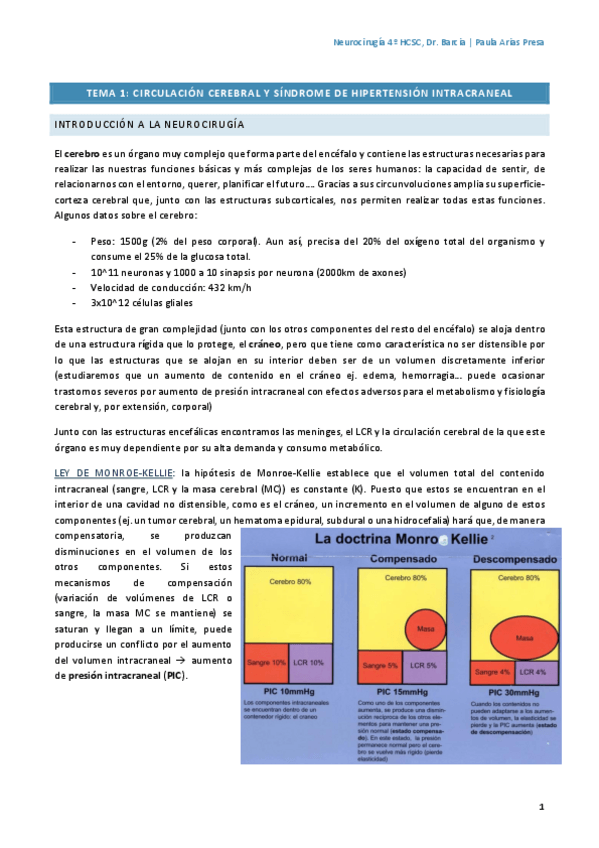 Miniatura del documento Tema1NeurocirugiaPaulaArias.pdf
