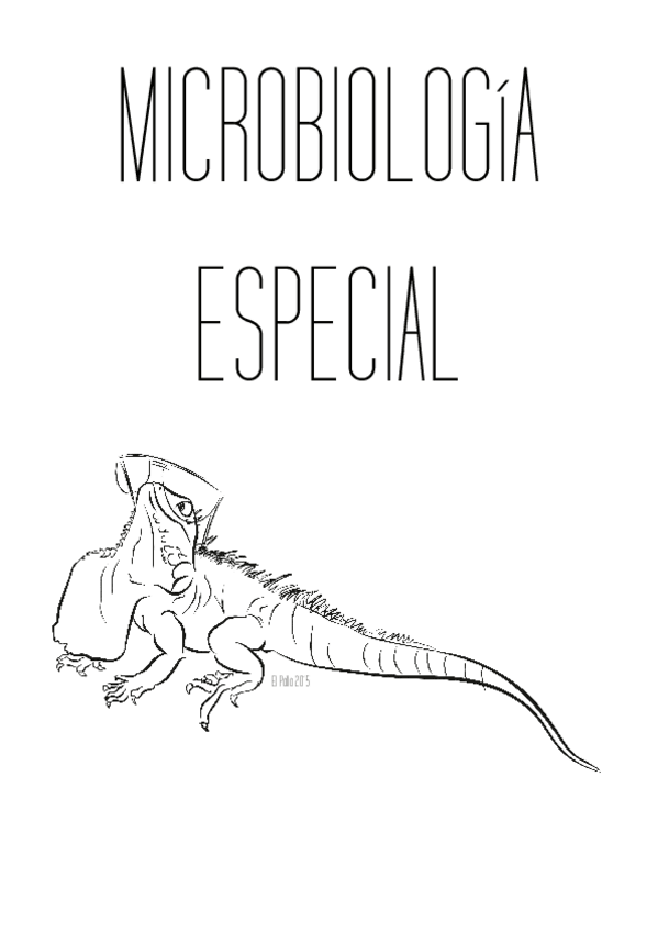 Miniatura del documento Microbiologia ESPECIAL.pdf
