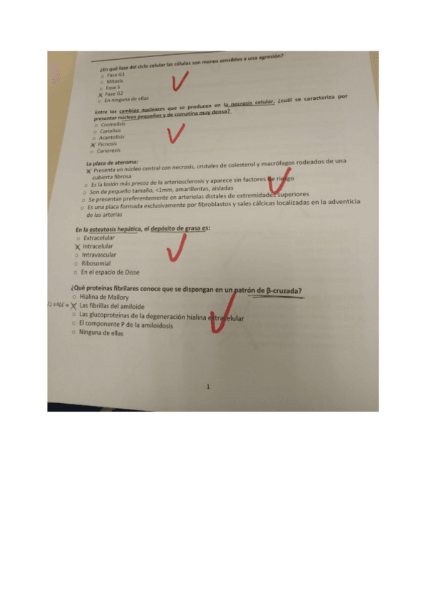 Miniatura del documento Examen-AP-2020.pdf