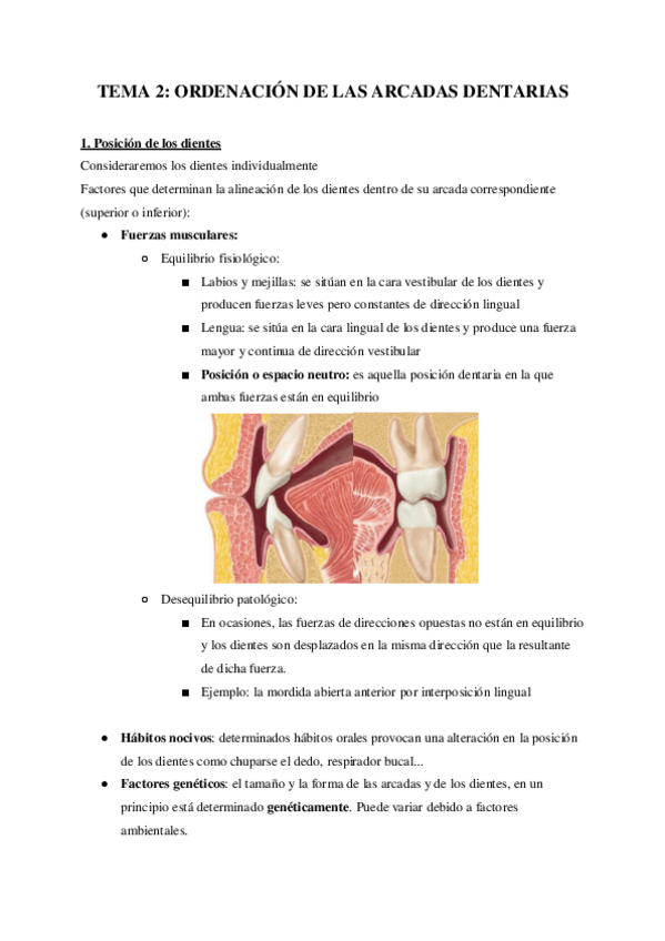 Miniatura del documento TEMA-2-ORDENACION-DE-LAS-ARCADAS-DENTARIAS.pdf