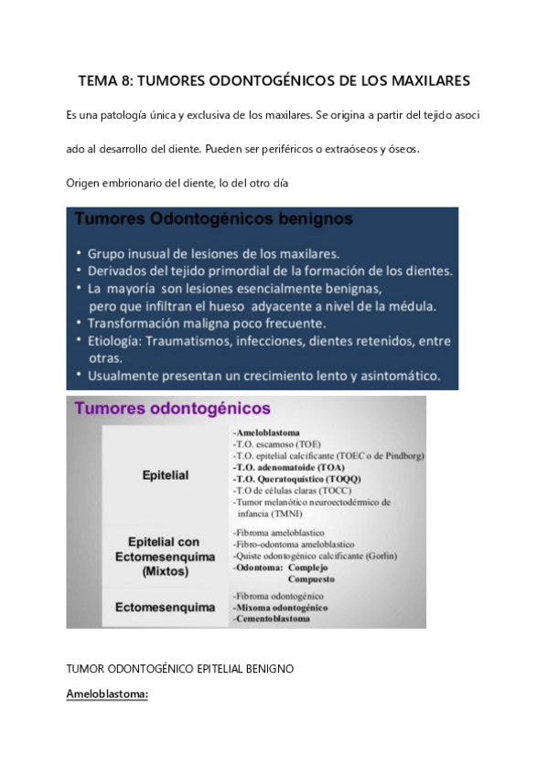 Miniatura del documento TEMA-8-TUMORES-ODONTOGENICOS-DE-LOS-MAXILARES.pdf