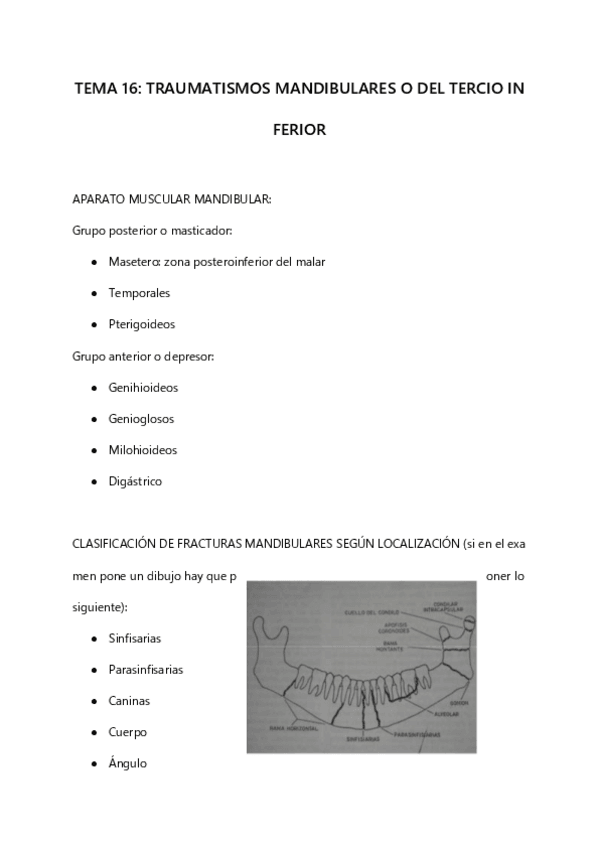 Miniatura del documento TEMA-16-TRAUMATISMO-MANDIBULAR.pdf