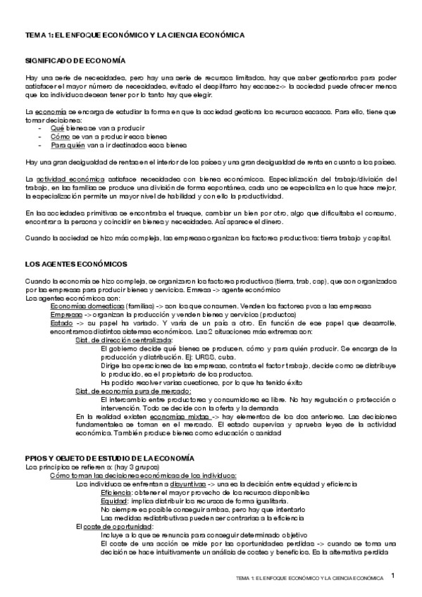 Miniatura del documento TEMA-1.pdf