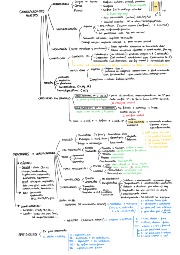 Miniatura del documento ESQUEMAS-TRAUMA.pdf