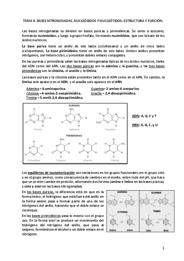 Miniatura del documento bioquimica-2o-parcial.pdf