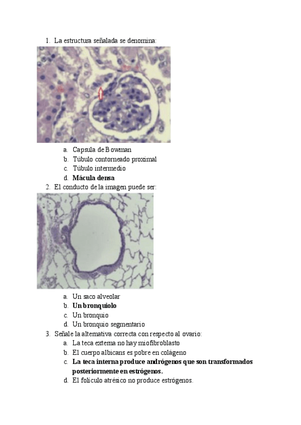 Miniatura del documento 2.pdf